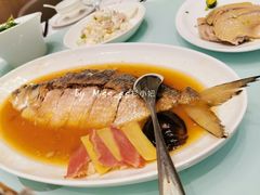 酒香鲥鱼-新吉士·上海菜(浦东LCM置汇旭辉店)