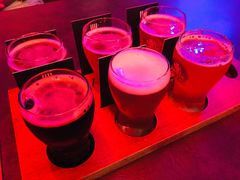 -Boxing Cat Brewery拳击猫精酿啤酒馆(永福店)