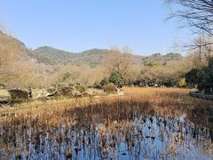-八卦田遗址公园