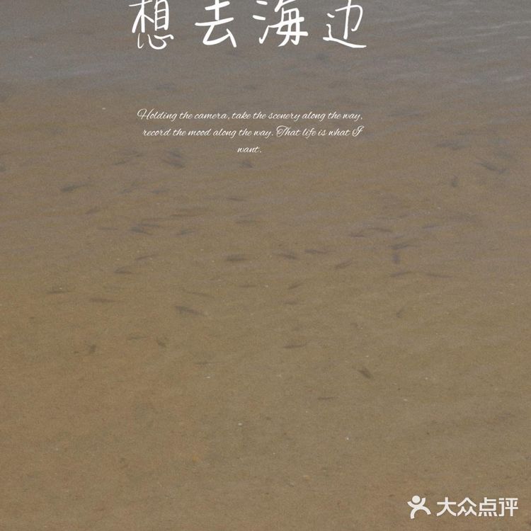 离北京最近的宝藏度假海湾