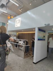 -I+造型烫发染发