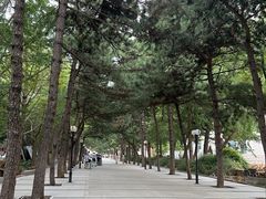 -中国农业大学(西校区)