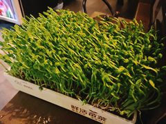 鲜活豌豆苗-湊湊火锅·茶憩(打浦桥日月光店)