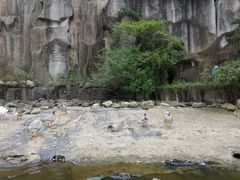 -西安秦岭野生动物园