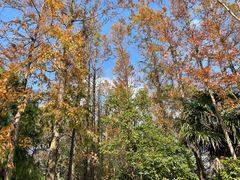 -上海长兴岛郊野公园