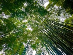 -成都杜甫草堂博物馆