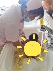 -喜月来月子会所