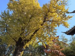 -狼山风景名胜区