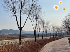 -北京张裕爱斐堡酒庄