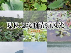 -长广溪湿地公园