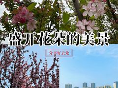 -南山植物园
