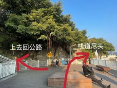 -大梅沙海滨公园