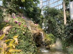 -郑州植物园