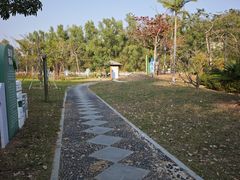 -金鸡岭桥头公园