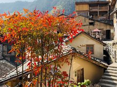 -杨家堂村