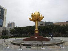 -金莲花广场