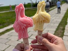 -黑龙江扎龙生态旅游区