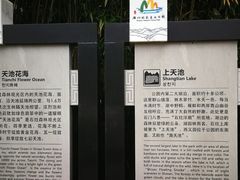 -广州市石门国家森林公园