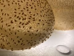 -皇厨荣升名厨家宴.赣州客家菜