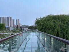 -曹州百花园