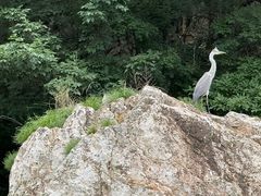-大连冰峪旅游度假区