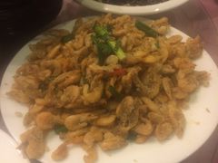 -佶政筋饼·新概念(安阳路店)