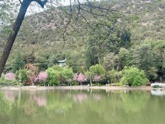 -黑龙潭公园