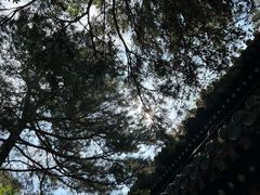 -潭柘寺景区