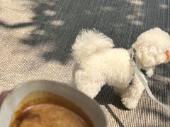 -LilBee Coffee