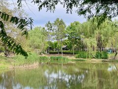 -尚贤河湿地
