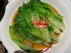 白灼罗马生菜-悦融琥珀·京鲁菜·海味珍品(西单店)