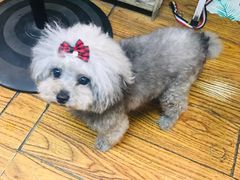 -志龙皇冠吃货椰子铺