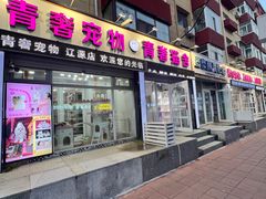 -青奢宠物·青奢猫舍