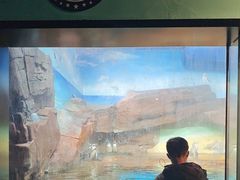 -海合安武汉极地海洋公园