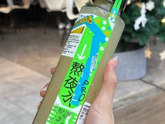 熬夜水-野萃山·潮汕厚果汁(十亩地店)