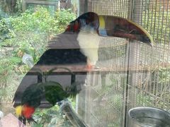 -南宫五洲植物乐园