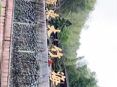 -宁波浙东大竹海景区