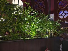 -山城辣妹子(定福庄店)