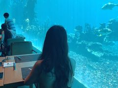 -海棠湾洲际-涛·海底餐厅·美人鱼·自助餐·海底隧道