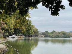 -黎记大排档(慈云路店)