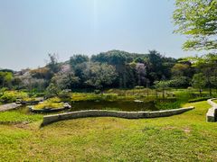 -云溪植物园