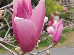 -晓港公园