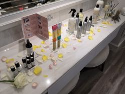 -奥斯芬欧系贵族SPA