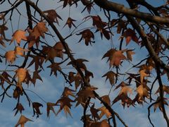 -北海市海滨公园