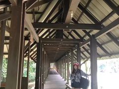 -乌鲁淡布隆国家公园