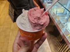 香草味冰淇淋-VENCHI 闻绮(北京国贸商城店)