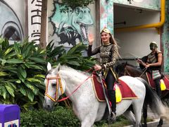 -灵玲国际马戏城
