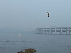 -黑石礁公园