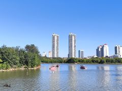 -天津水上公园