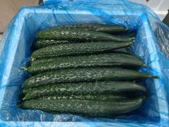 -江杨农产品批发市场